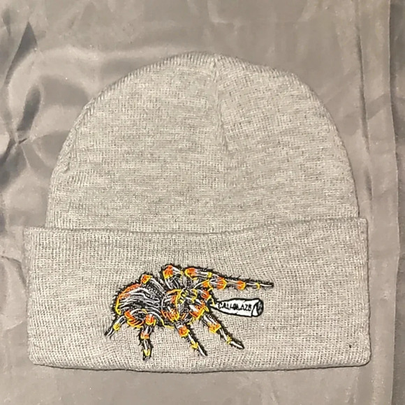 CALI BLAZE beanie hat NEW never worn LOT D4 - Picture 1 of 2